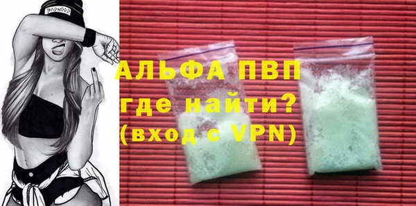 индика Вязники